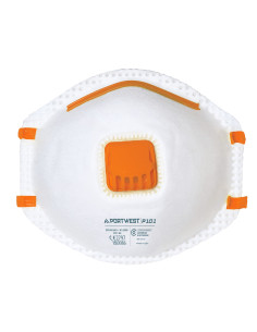 Producto P101